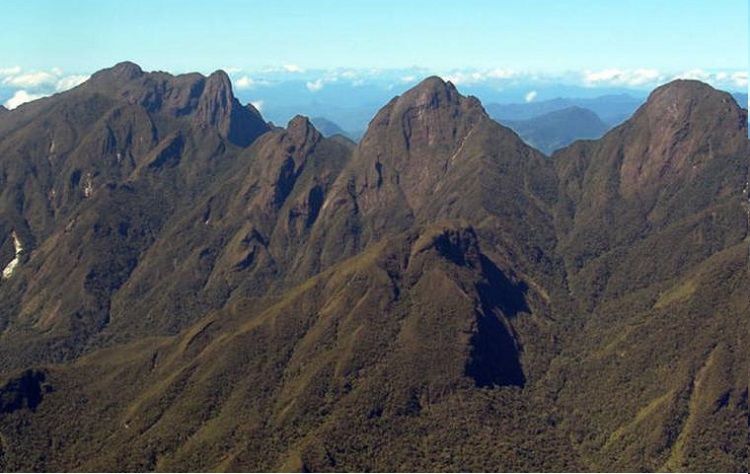 Bosques lluviosos en Madagascar