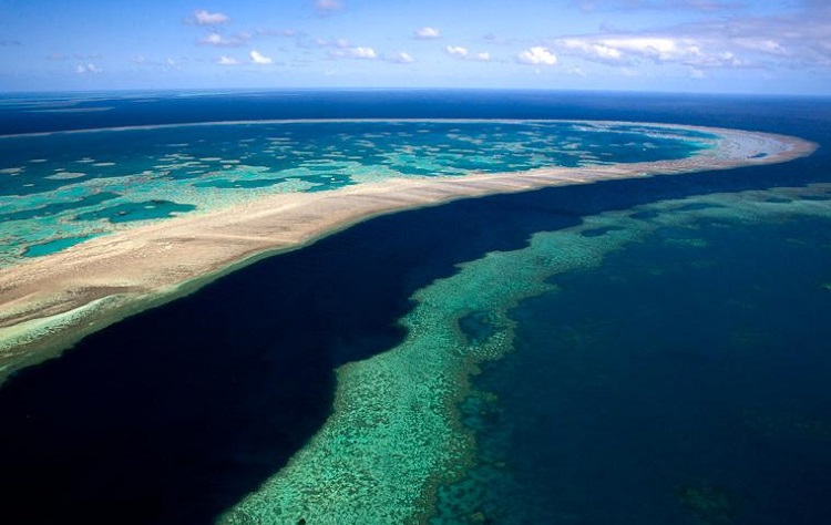 La Gran Barrera de Coral