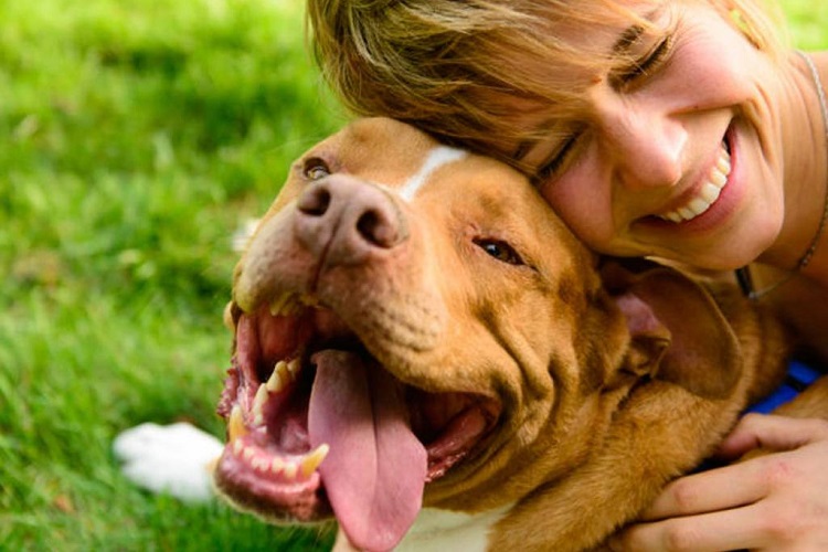 Cómo tu personalidad afecta a la de tu perro