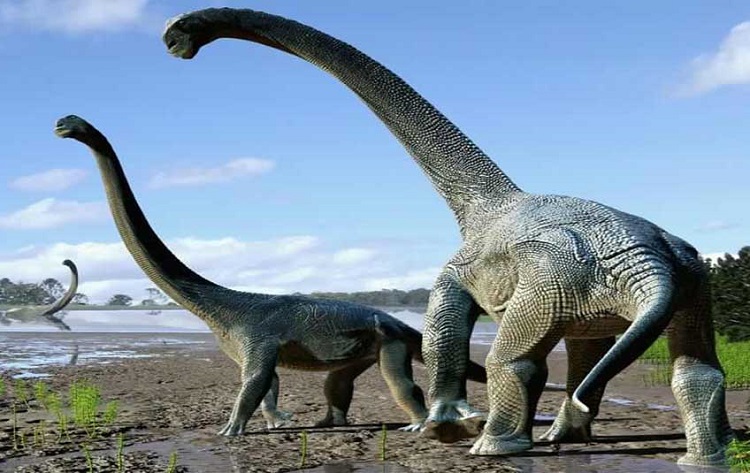 Descubiertos los restos de un dinosaurio de 24 toneladas que andaba sobre tacones